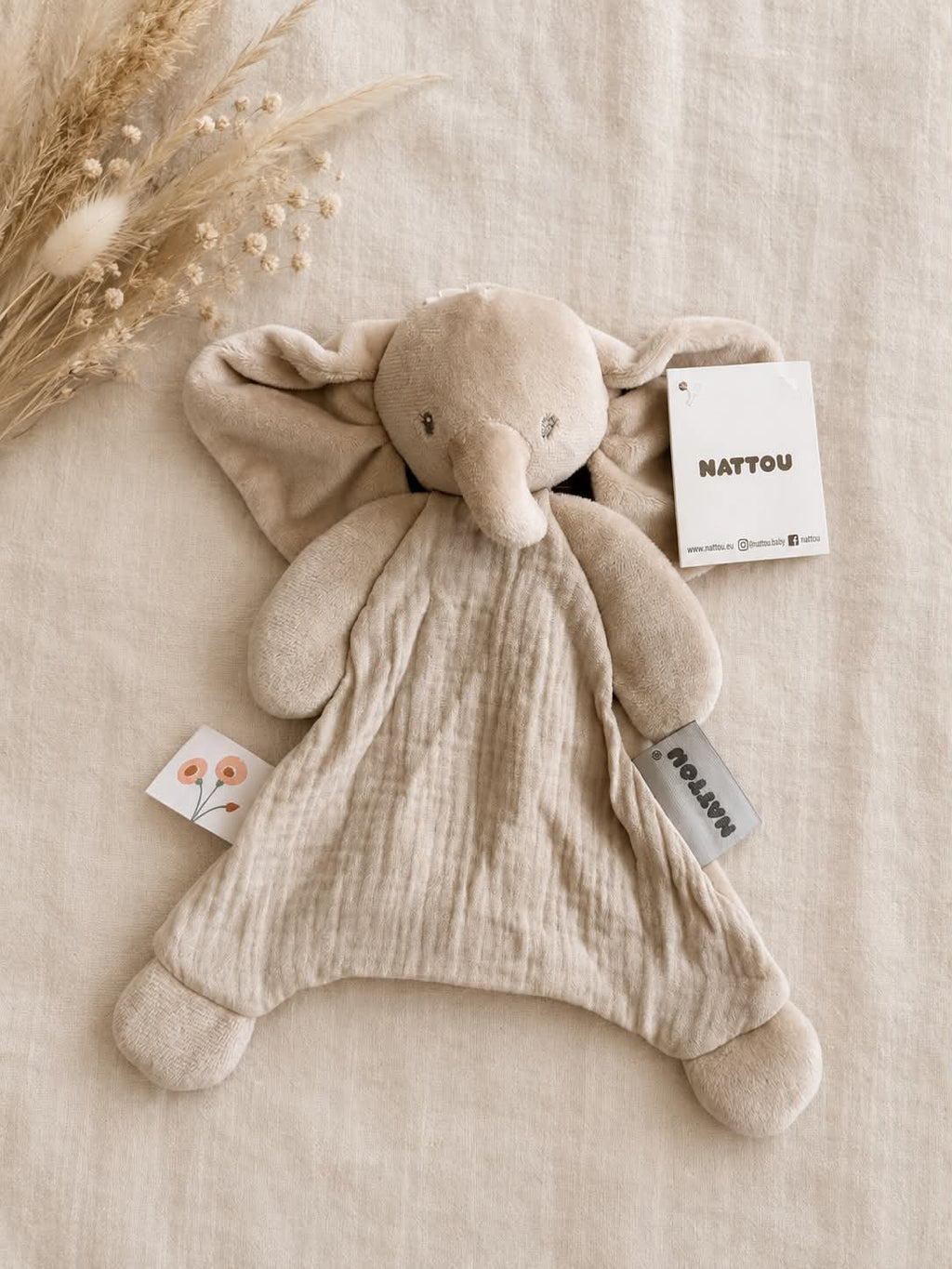 Doudou éléphant fanfan baby - Nattou